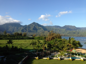 Our view at the St. Regis Princeville.